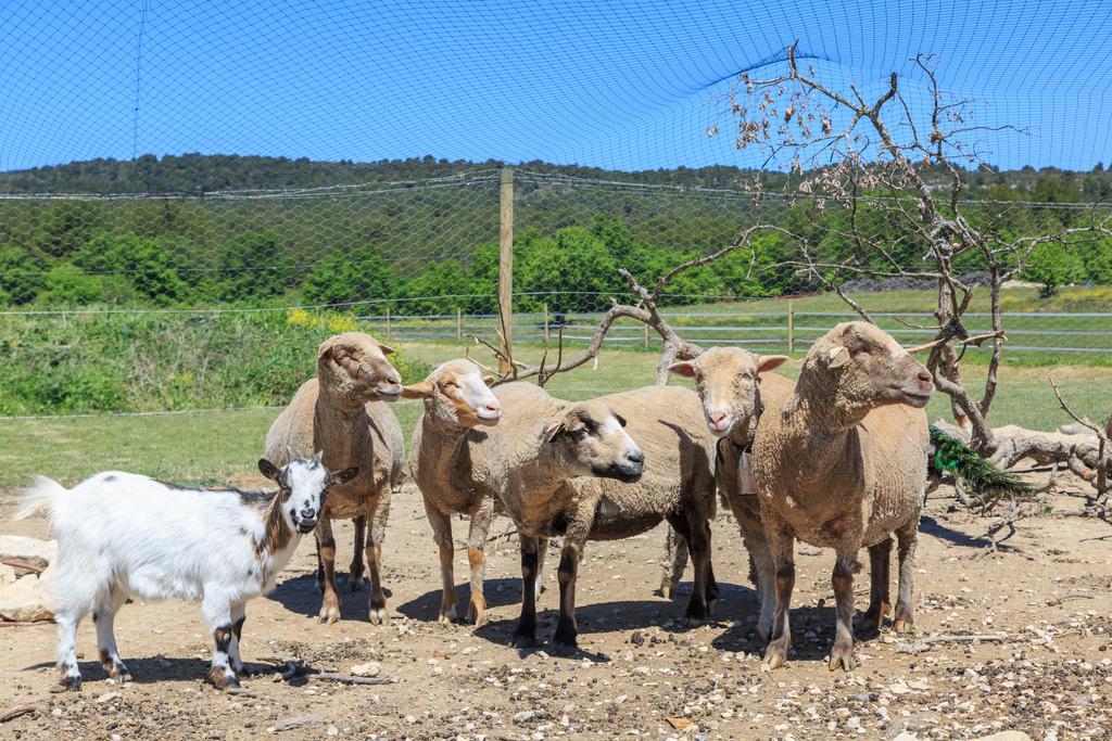 הוילה גורדס Lou Mas Li Pitchoun "Le Luberon " מראה חיצוני תמונה