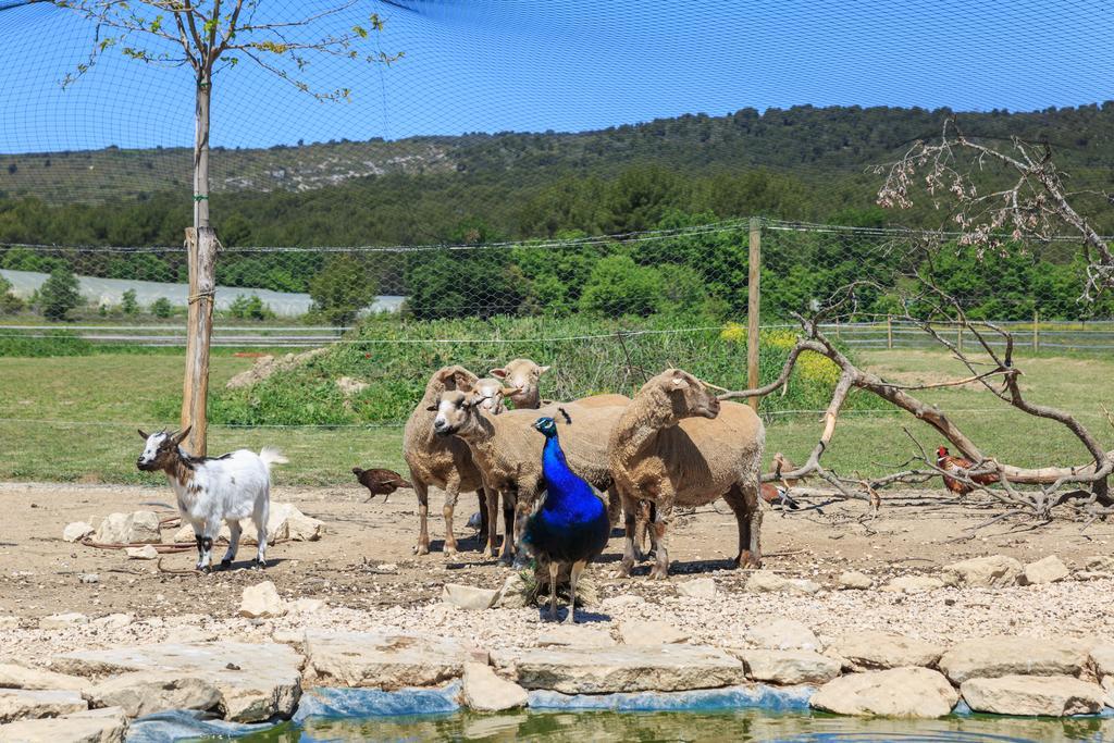 הוילה גורדס Lou Mas Li Pitchoun "Le Luberon " מראה חיצוני תמונה